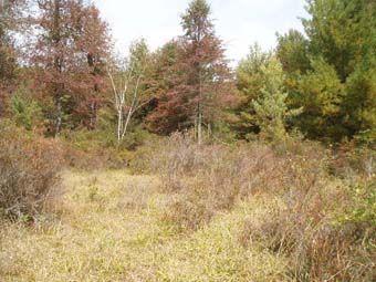 community photo